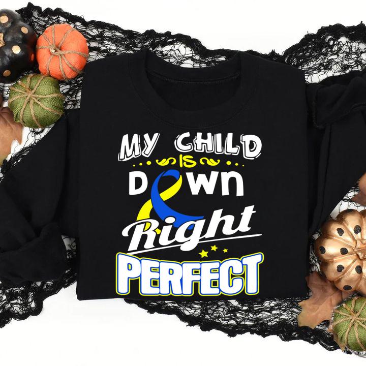 Down Syndrome Awareness My child is down right perfect t-shirt