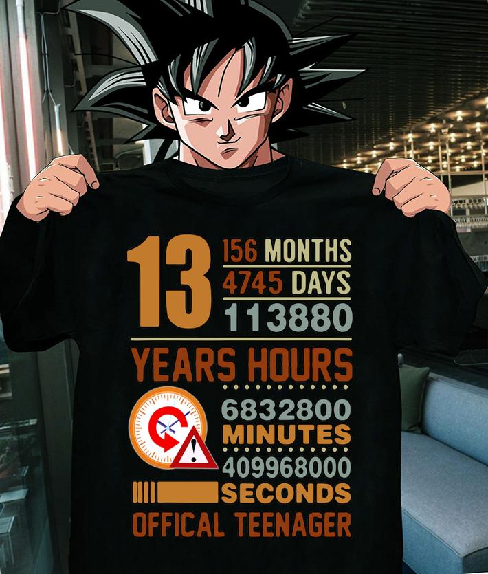 Hot Official Teenager 13th Birthday Gifts t-shirt
