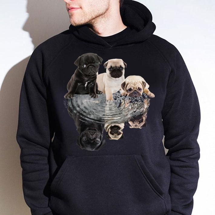 Pug dogs mirror water reflection t-shirt hoodie