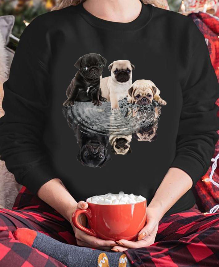 Pug dogs mirror water reflection t-shirt sweatshirt