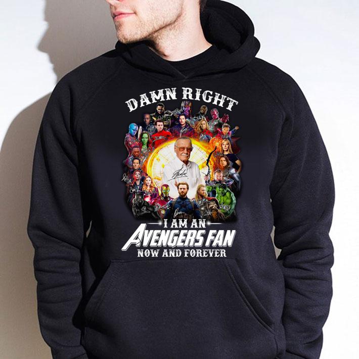 Damn right i am a Avengers fan now and forever shirt, Marvel Avengers t-shirt