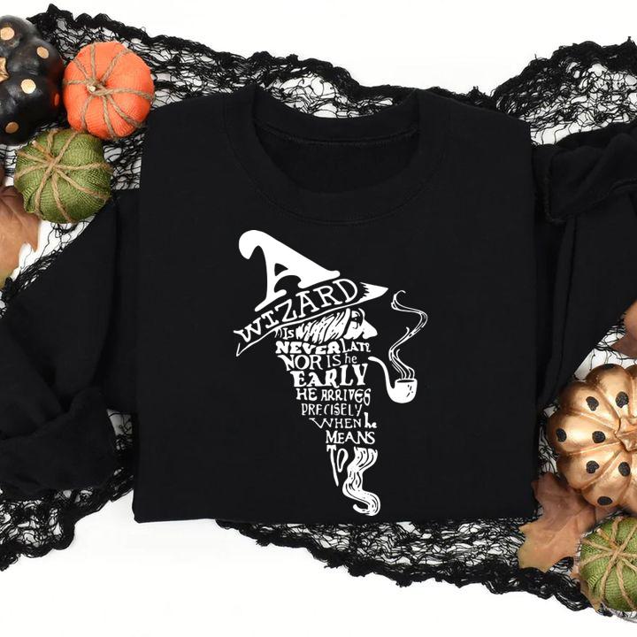 Wizard Is Never Late Nor Is He Early t-shirt