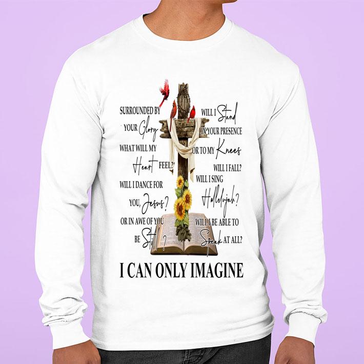 Cross MercyMe I can only imagine t-shirt