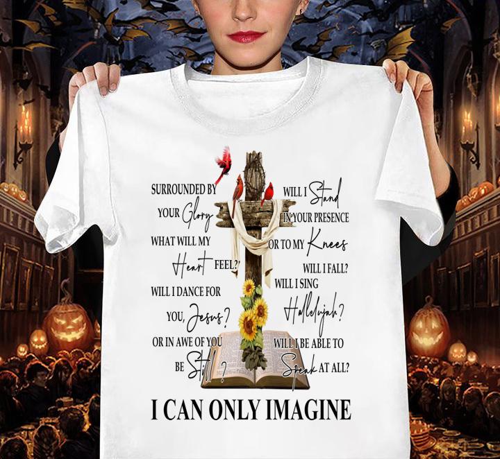 Cross MercyMe I can only imagine t-shirt